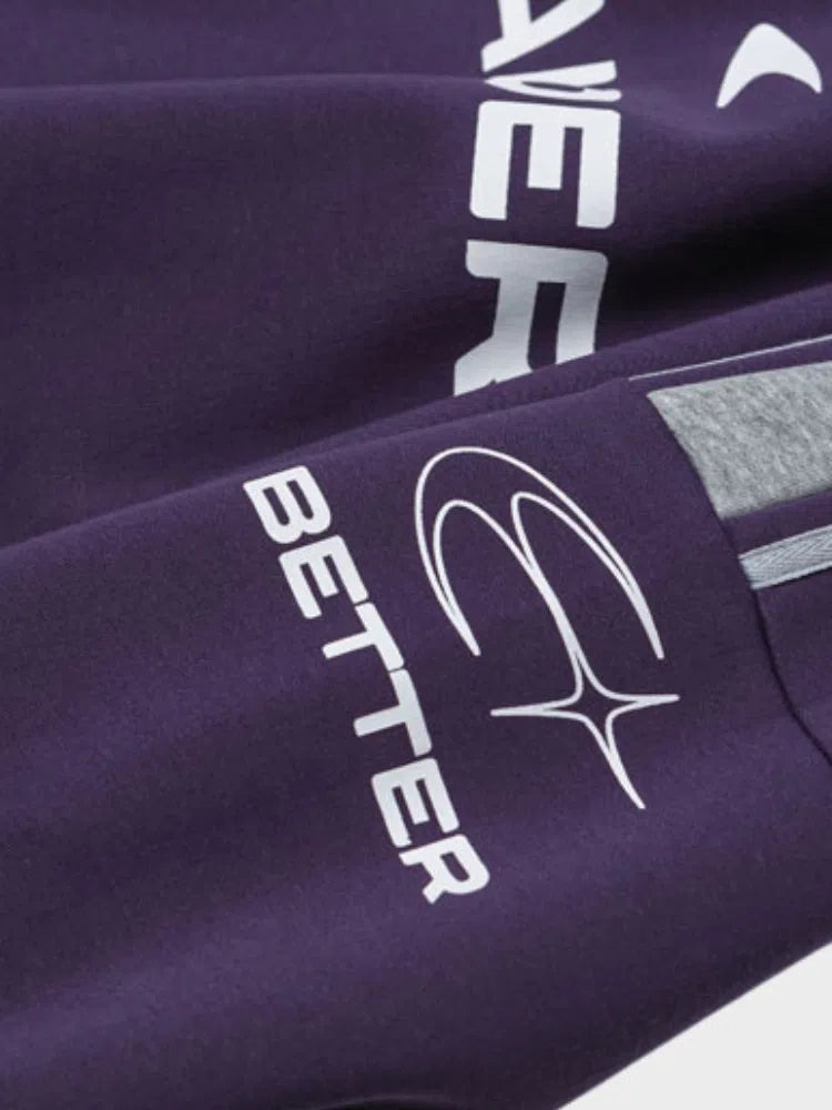 CREWNECK SWEATSHIRT PURPLE AND GRAY VINTAGE RAIDER LONGSLEEVE